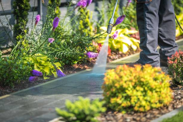 Best Animal Enclosure Cleaning  in West New York, NJ